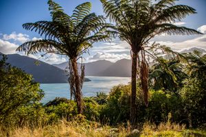 Abel Tasman Walk & Queen Charlotte Track: End to End - 11 Days