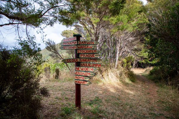 Country Sign post Queen Charlotte Track