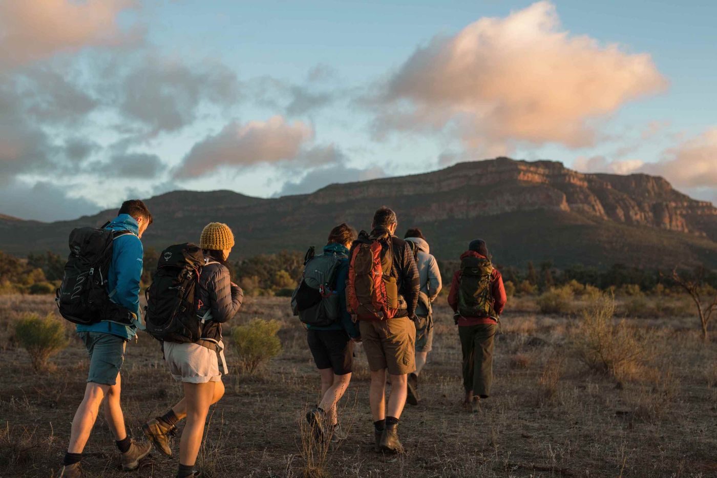 Walkers on Flinders Ranges with view of Wilpena Pound Wall