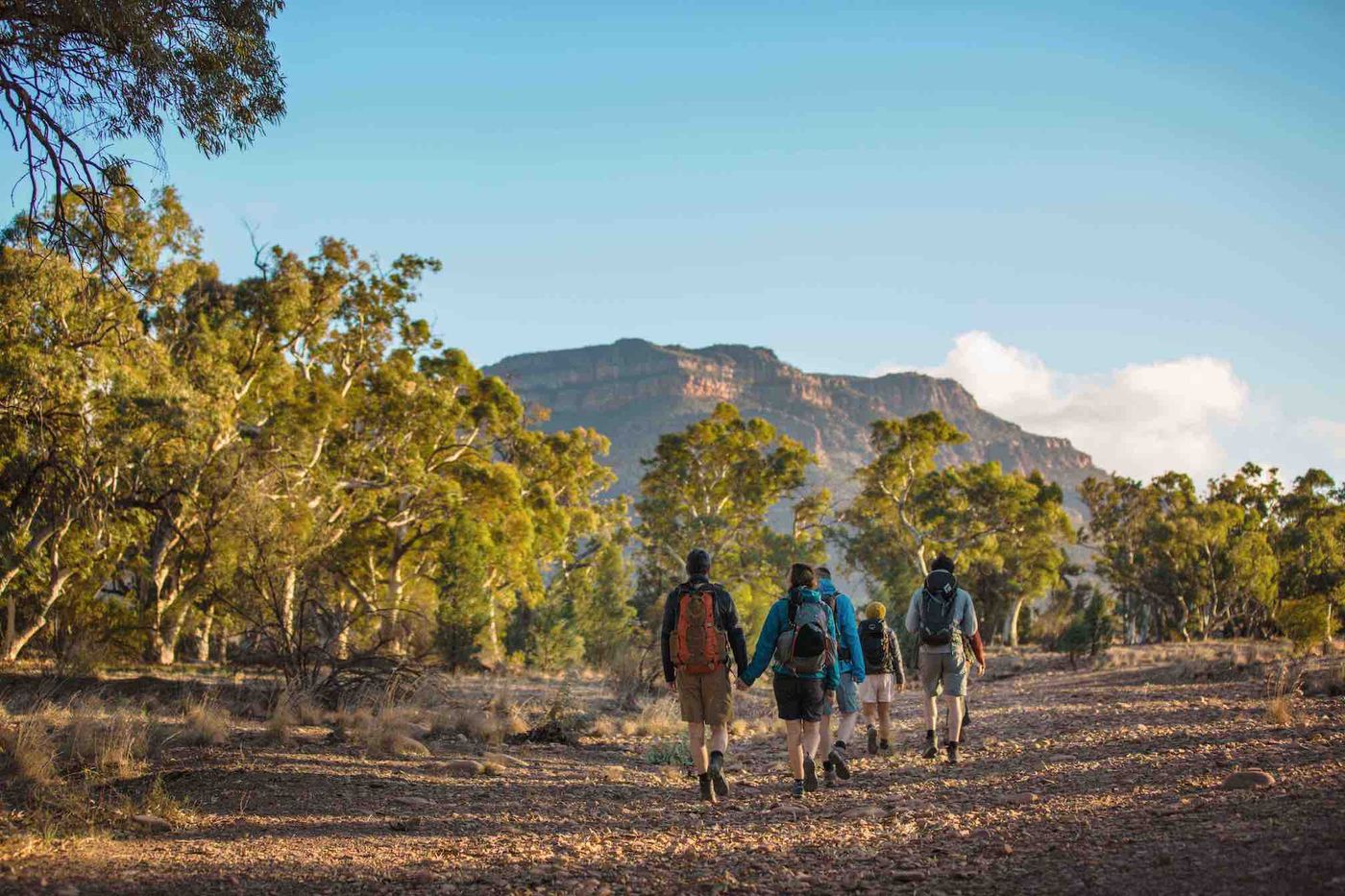 flinders ranges south australia walkers