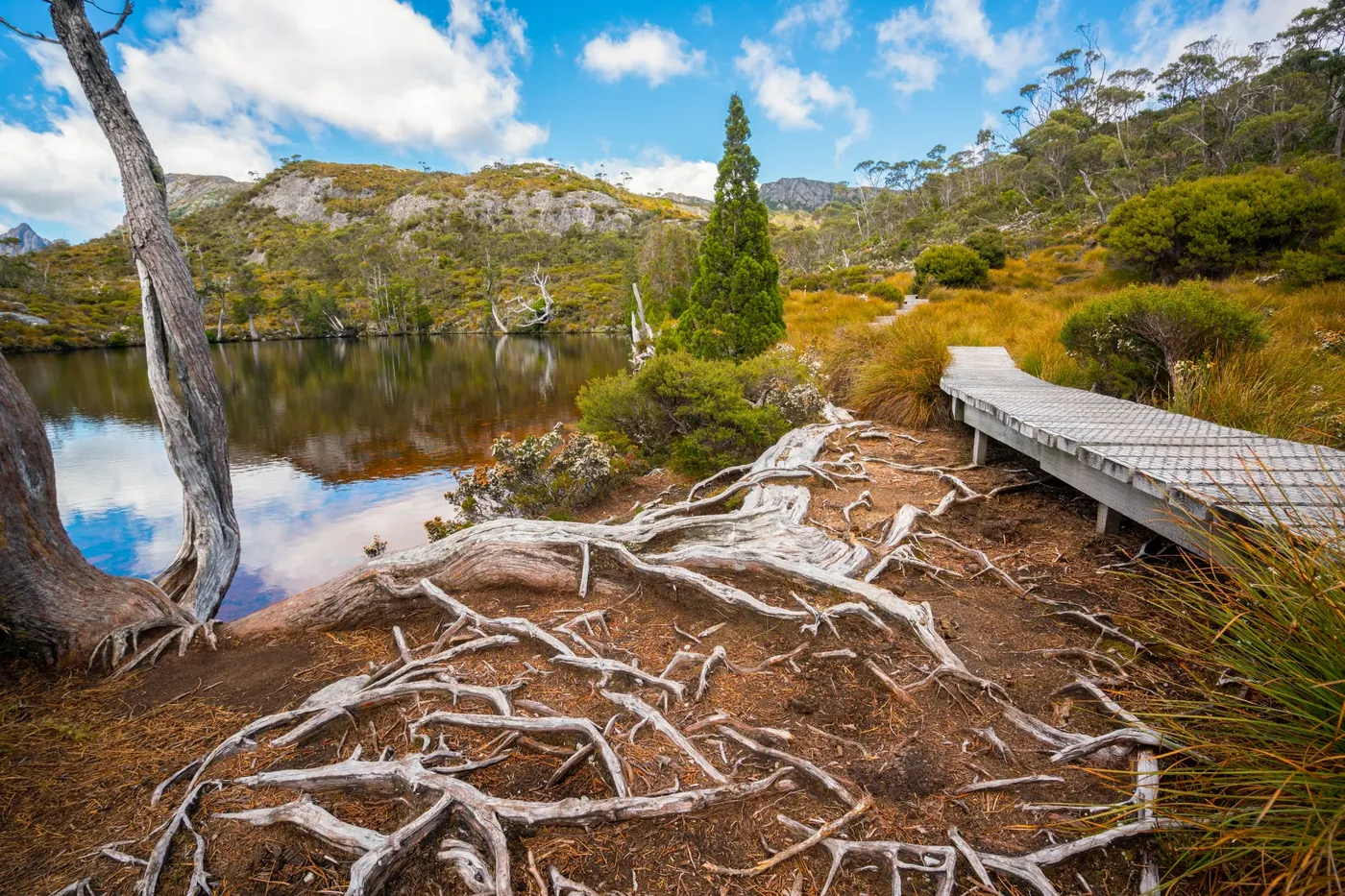 Cradle Mountain Circuit