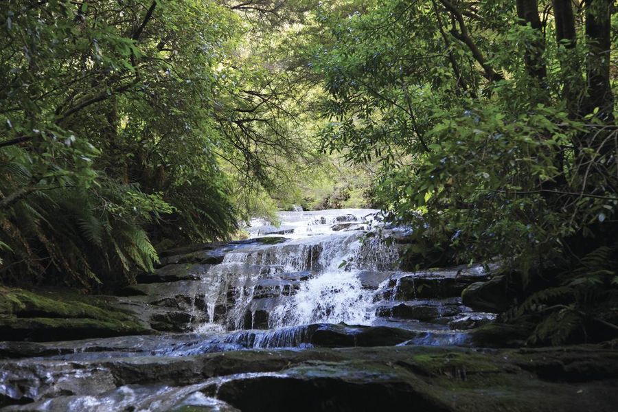 blue mountains walks