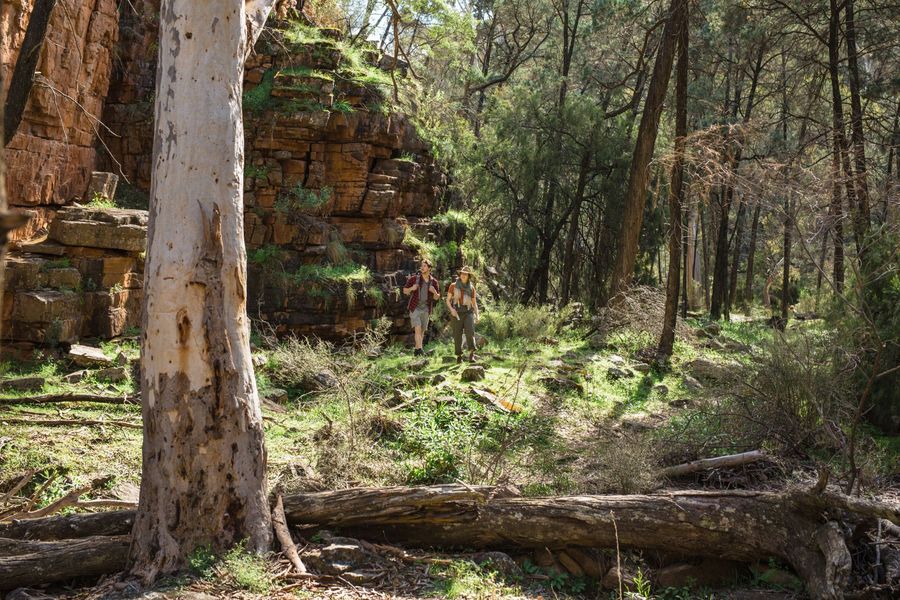 Alligator Gorge in the Flinders Ranges with Auswalk