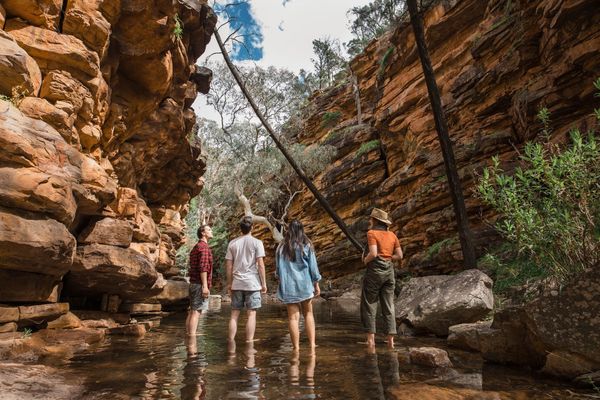 Alligator Gorge Flinders Ranges