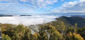 Gold Coast Hinterland Great Walk - 7 Days