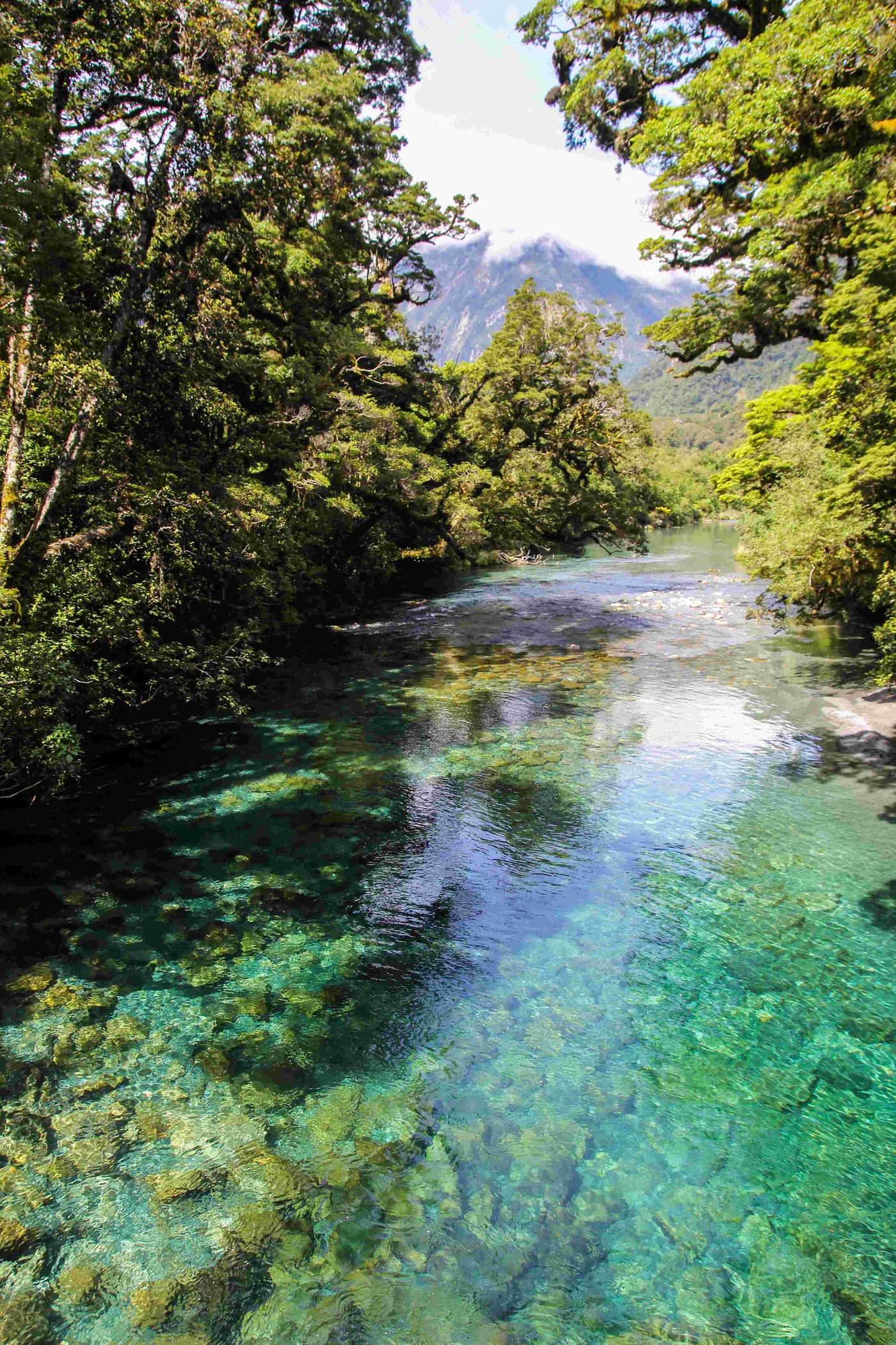 milford-track-southland-new-zealand