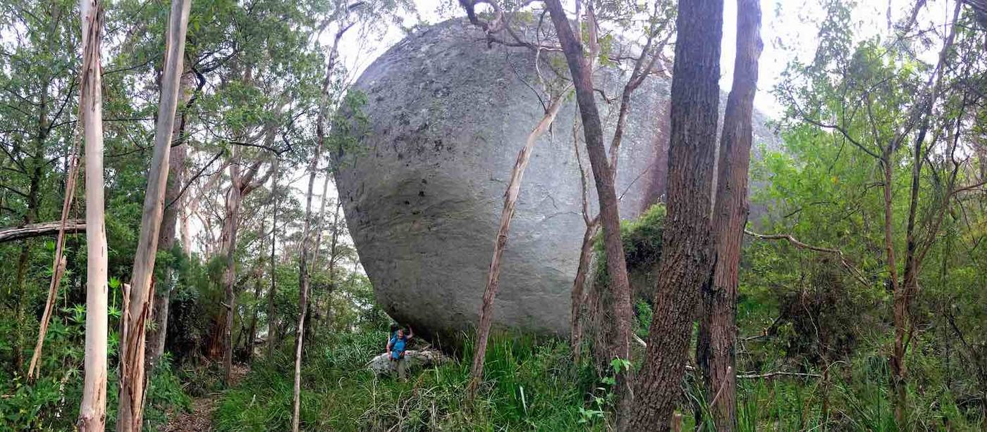 Mt Hallowell Bibbulmun Track