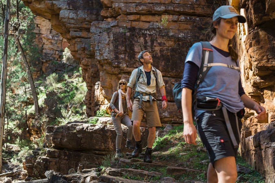 Alligator Gorge Flinders Ranges Highlights Group Guided