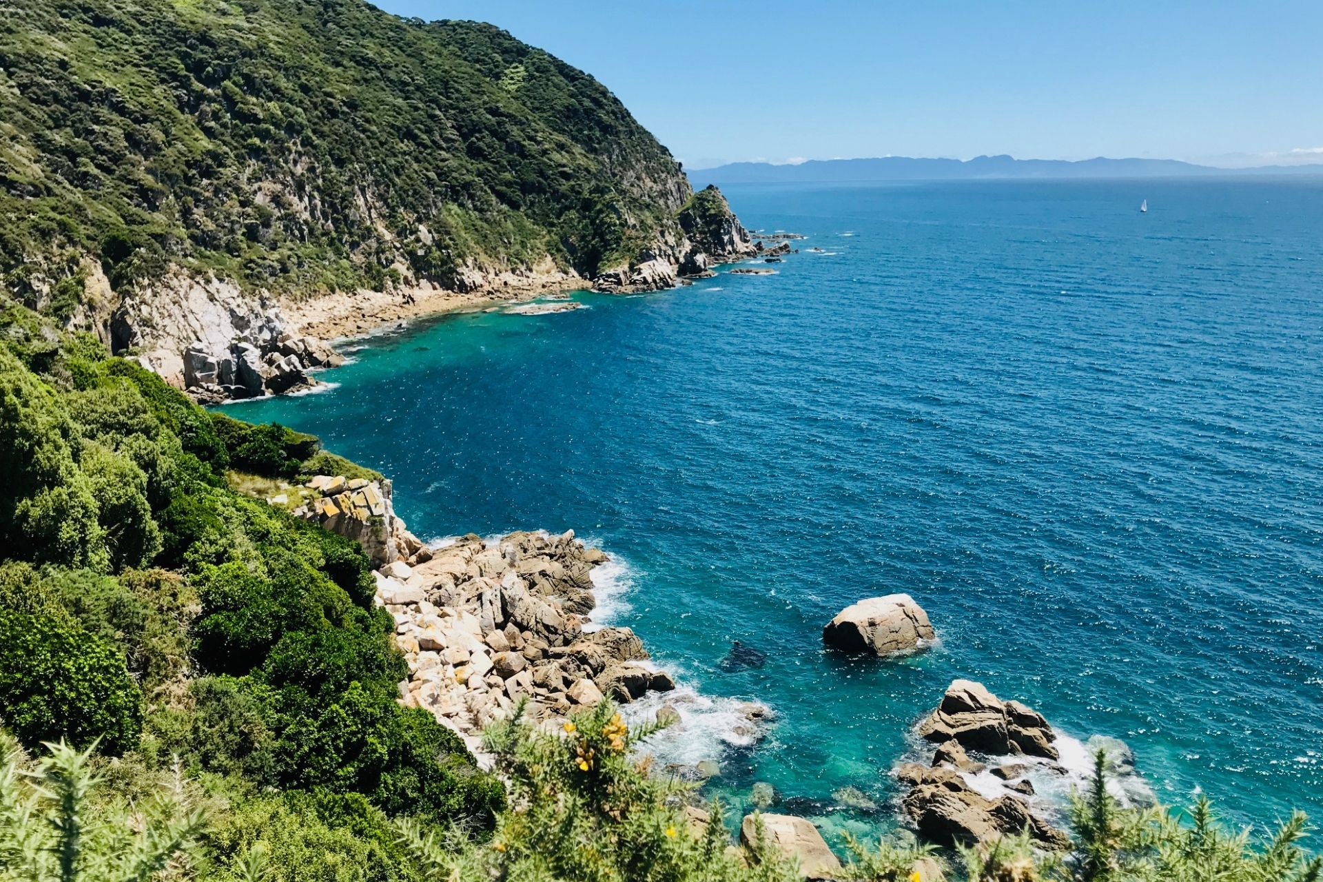 Abel Tasman Coast Track Guided