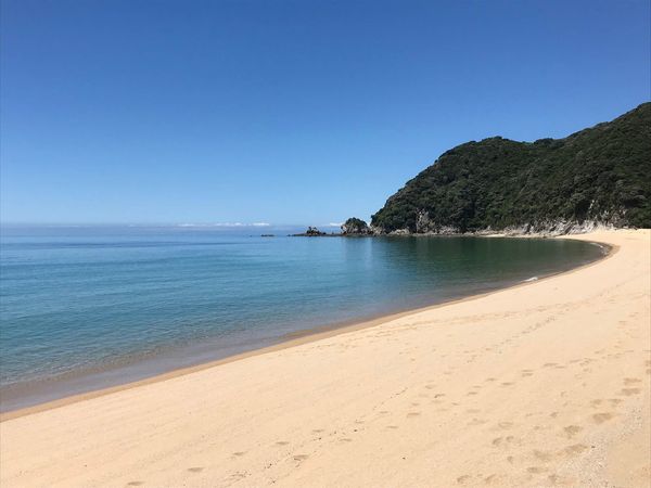 Beach along the Abel Tasman