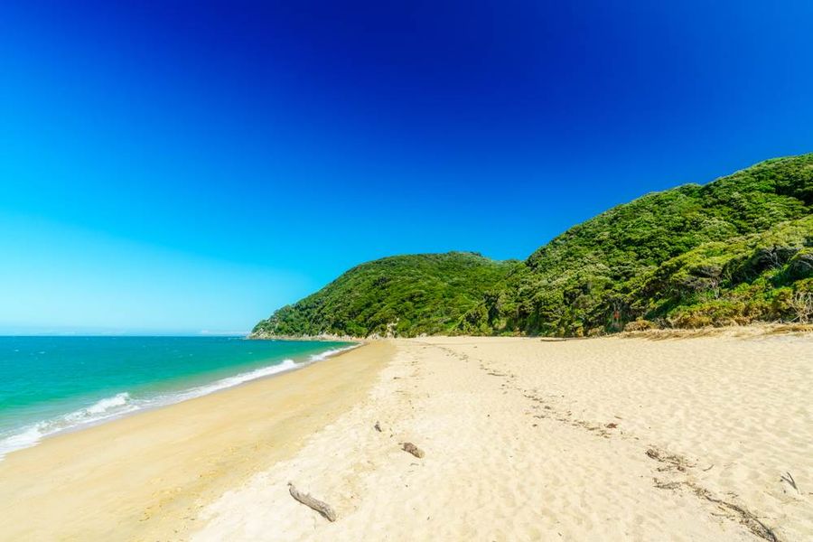 Abel Tasman 8