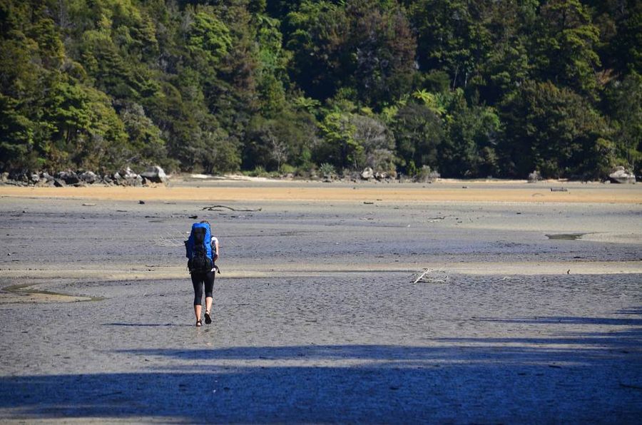 abel tasman walk new zealand