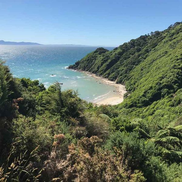 Abel-Tasman-Wainui-to-Totaranui-walk