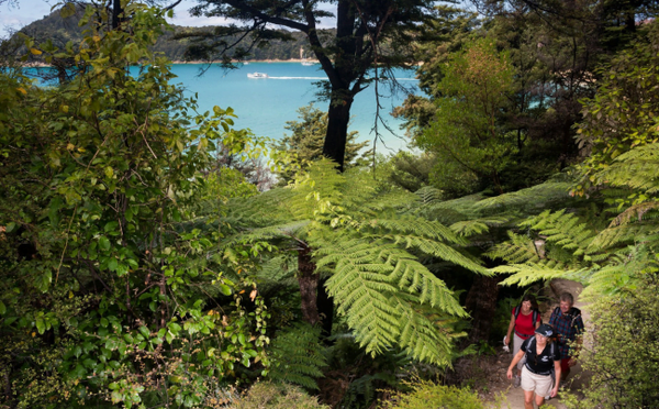 Abel tasman lodge nature small