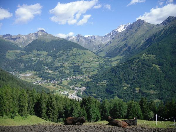 Aosta valley landscape-