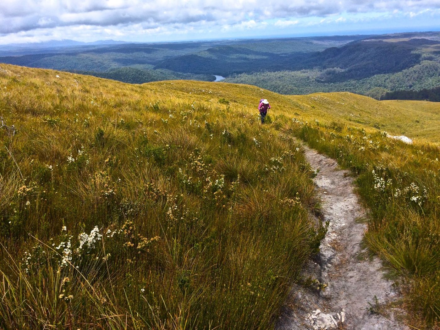 Ascending-Through-Highland-Grasslands-in-Cradle-Mountain
