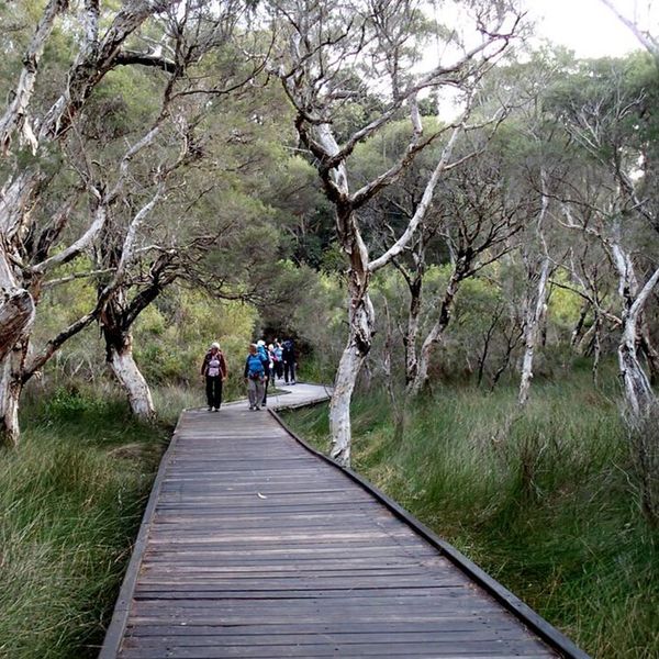 Bibbulmun-Track-Walpole