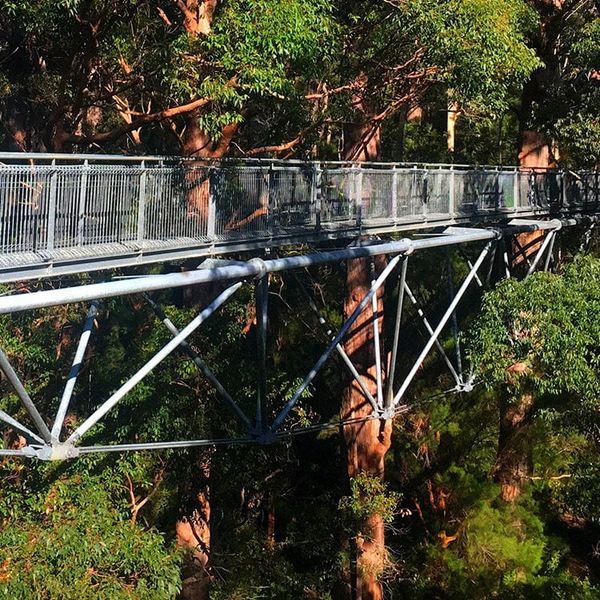 Tree Top Walk Bibbulmun Track Walpole Denmark