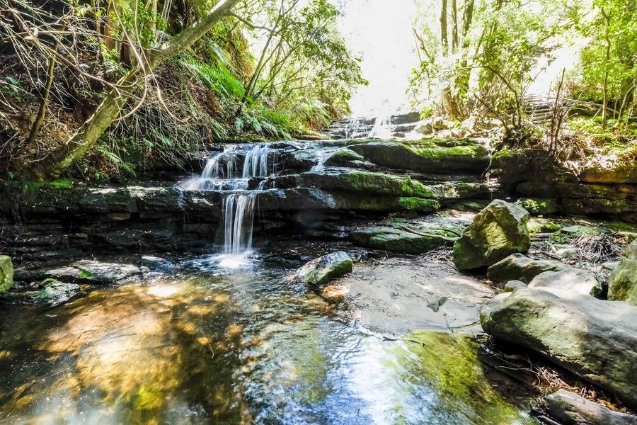 Blue mountains