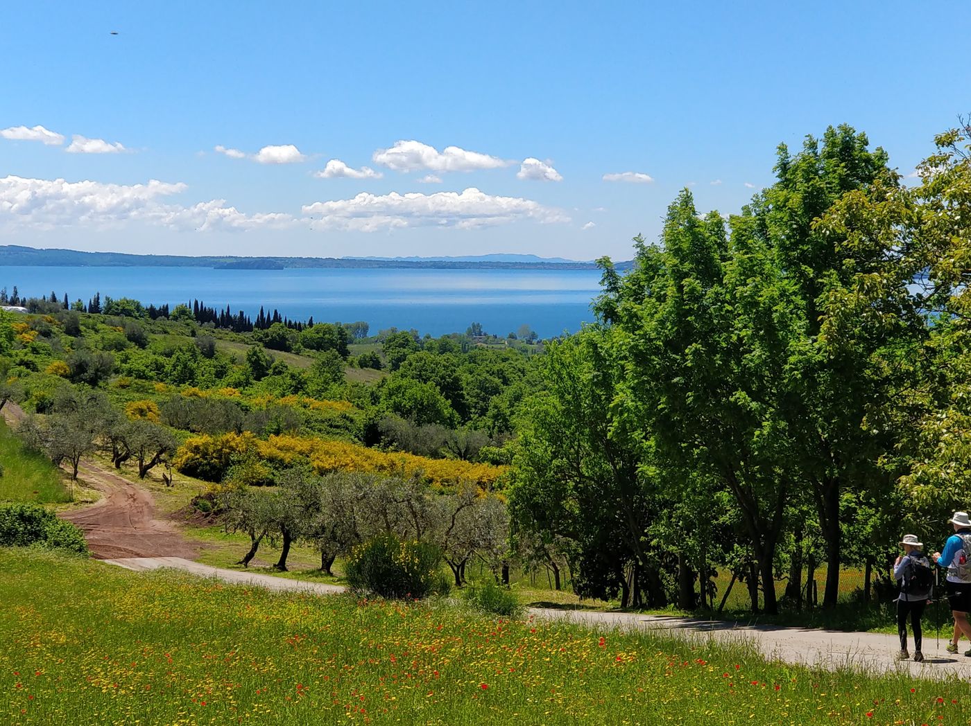 Bolsena lake