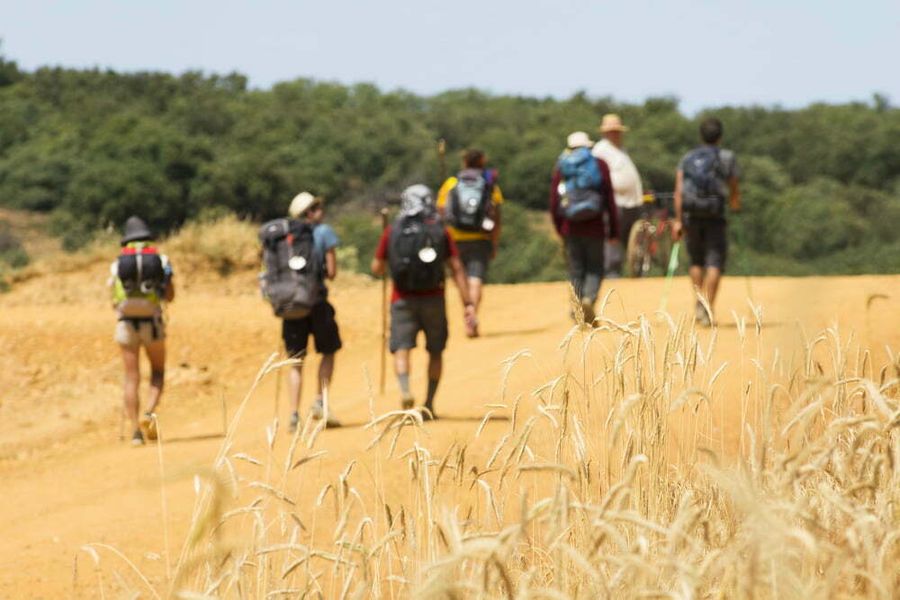 Camino Leon to Santiago