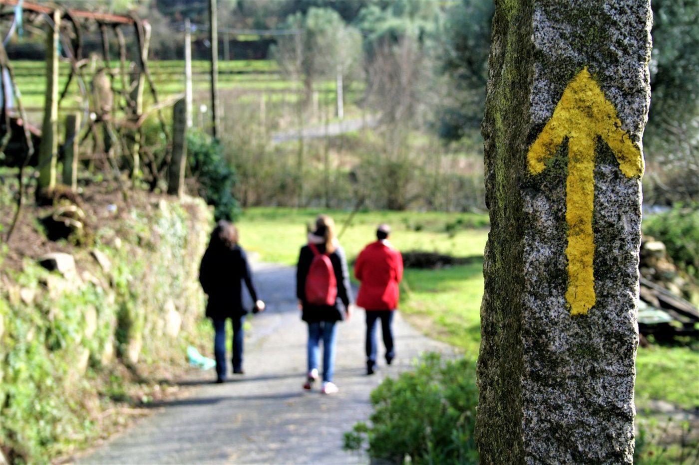 Camino-de-Santiago-Arrow-Guiding-Pilgrims