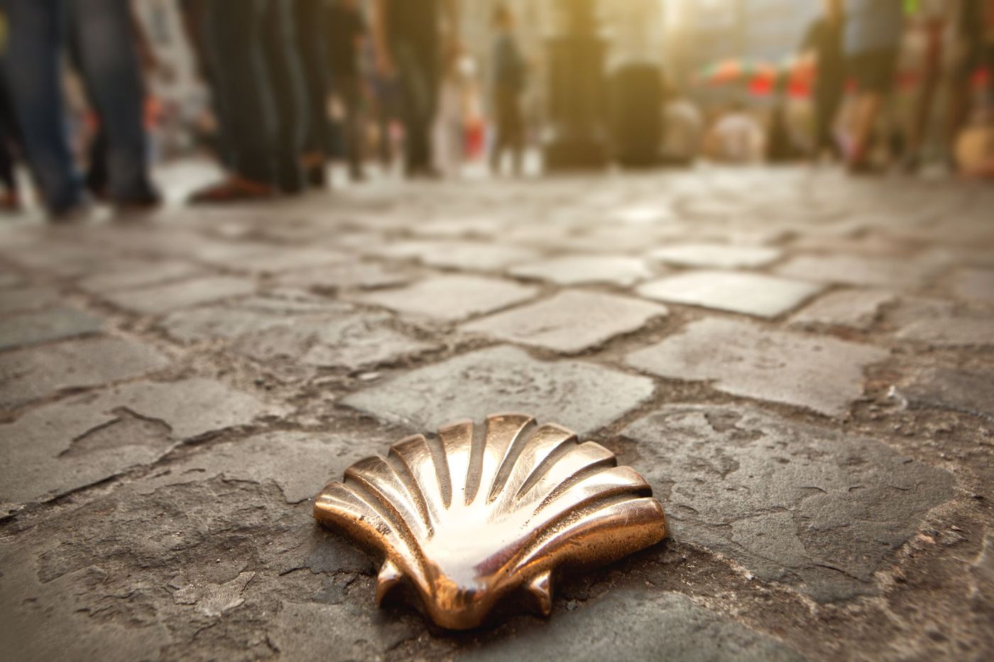 Camino-de-Santiago-Scallop-Shell-Marker