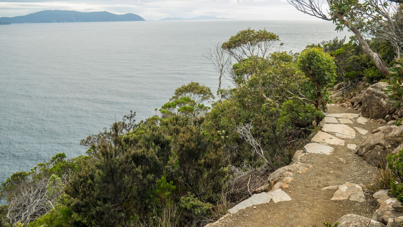 Bushland-Track-on-Cape-Hauy-Tasmania
