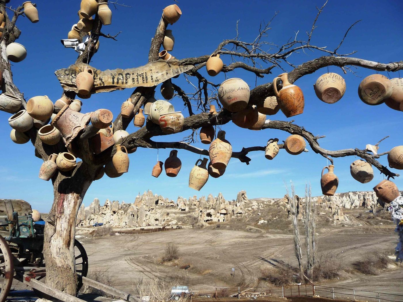 Cappadocia-Pots on tree and view