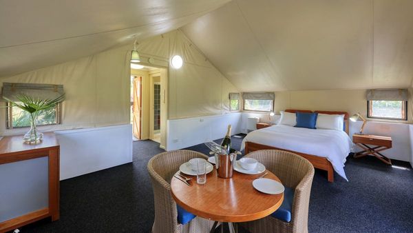 Carnarvon-Gorge-Wilderness-Room-Cabin