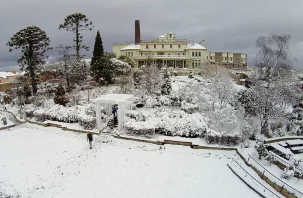 Carrington snow