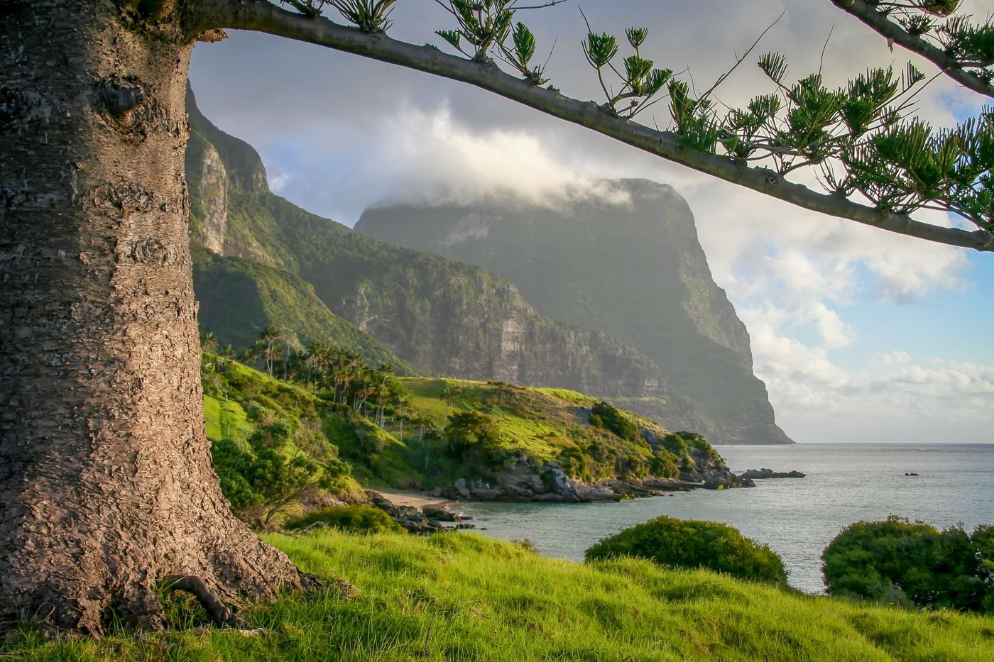 Coastal-Landscape-with-Mt-Gower-Lord-Howe