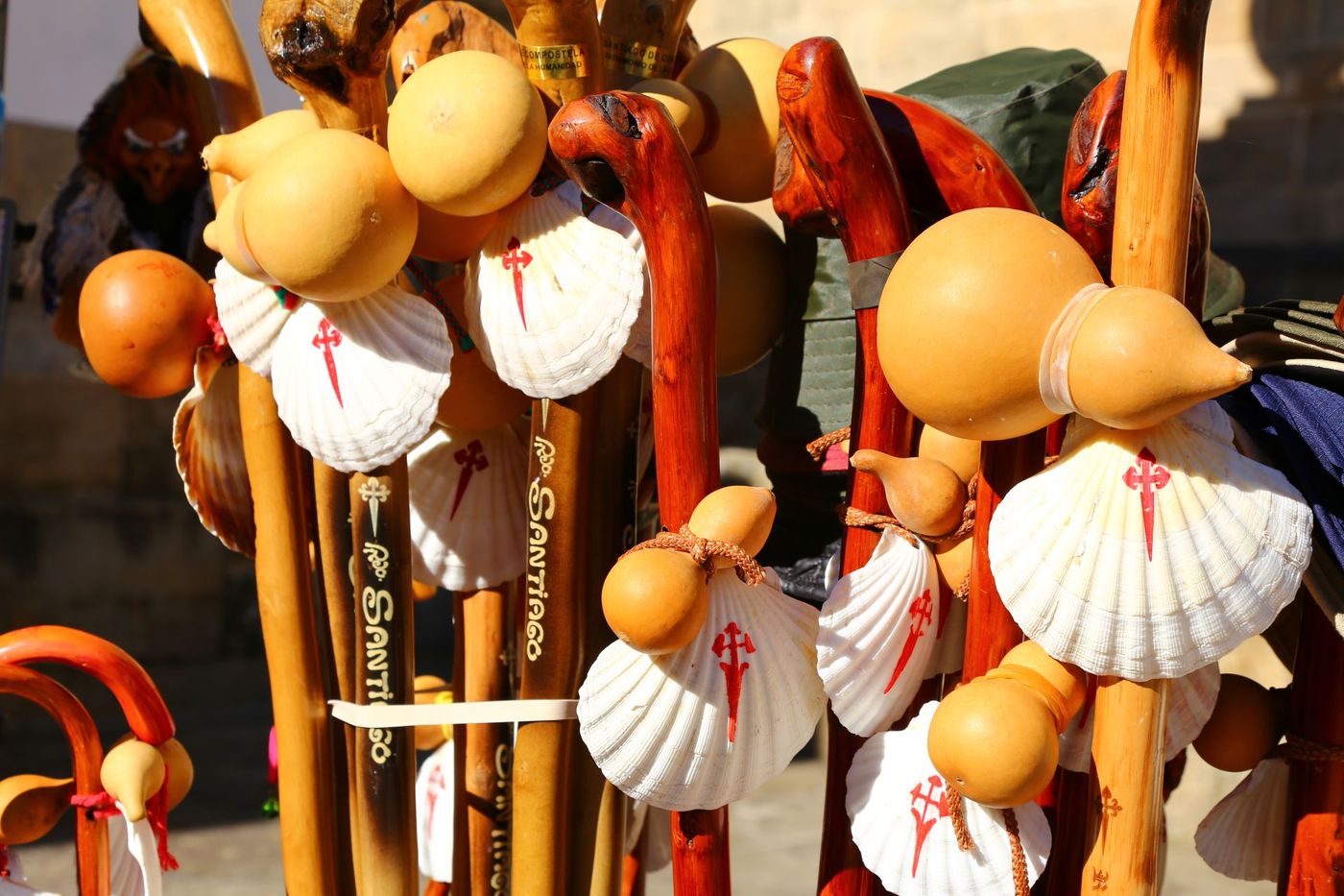 Collection-of-Pilgrim's-Staffs-with-Scallop-Camino-Shells