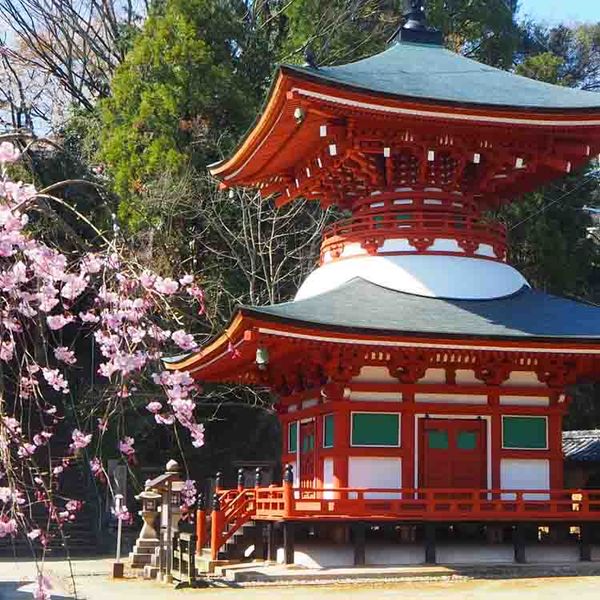 Day-2-Koyasan-10-Day-walk
