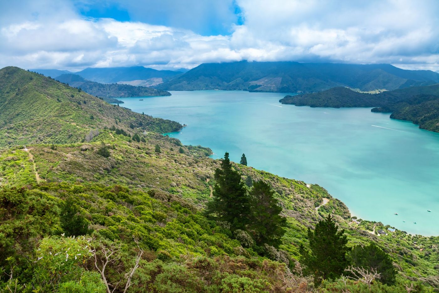 Elevated-View-of-Turquoise-Bays-in-Marlborough-Sounds