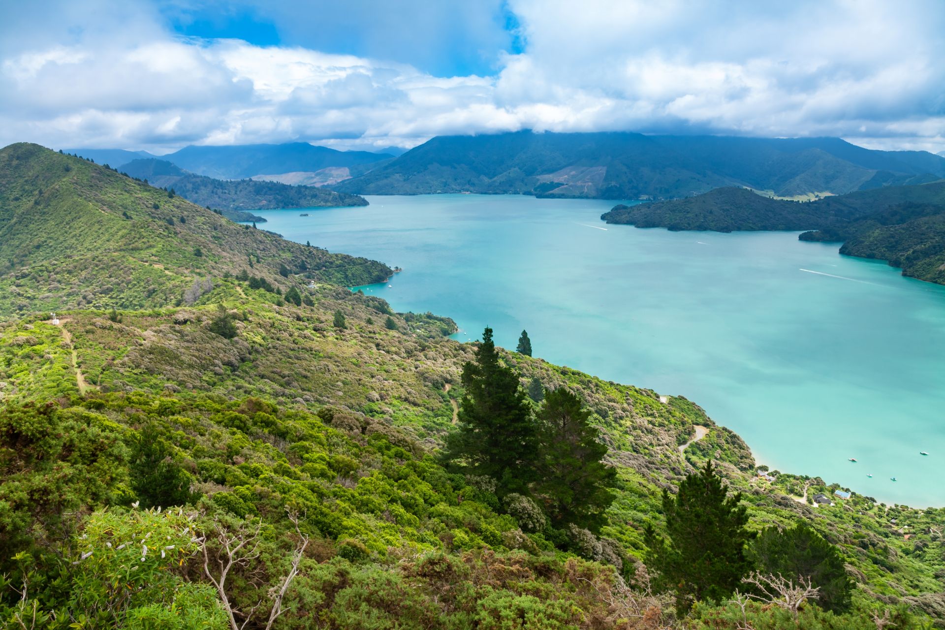 Queen Charlotte Track
