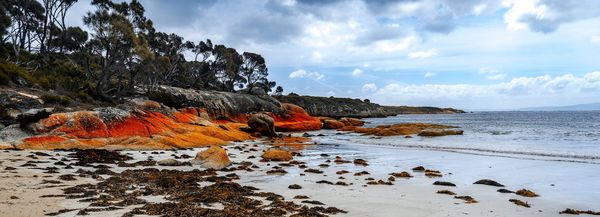 Flinders Island Long Weekend