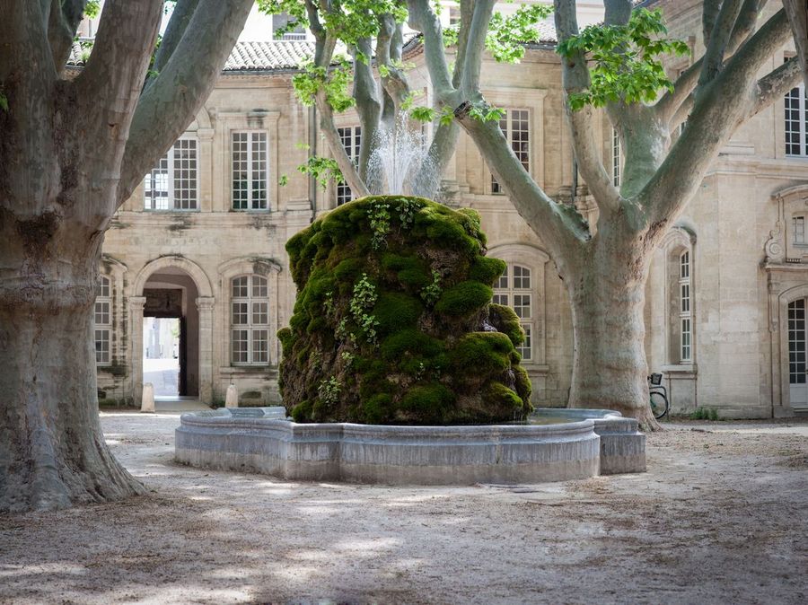 Fontaine-Cloitre-Saint-Louis-Hotel-Avignon-3-min
