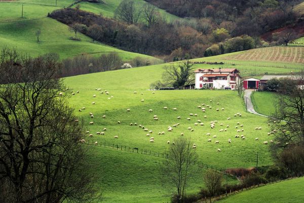 French-Basque-Country-scaled