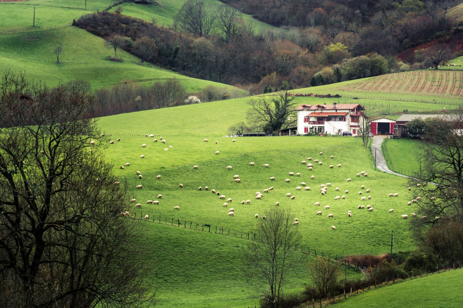 Camino Le Puy: Stage 5 - Lectoure to Aire Sur L'Adour - 8 Days