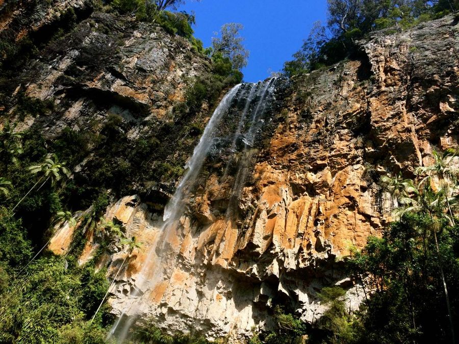 gold coast hinterland great walk