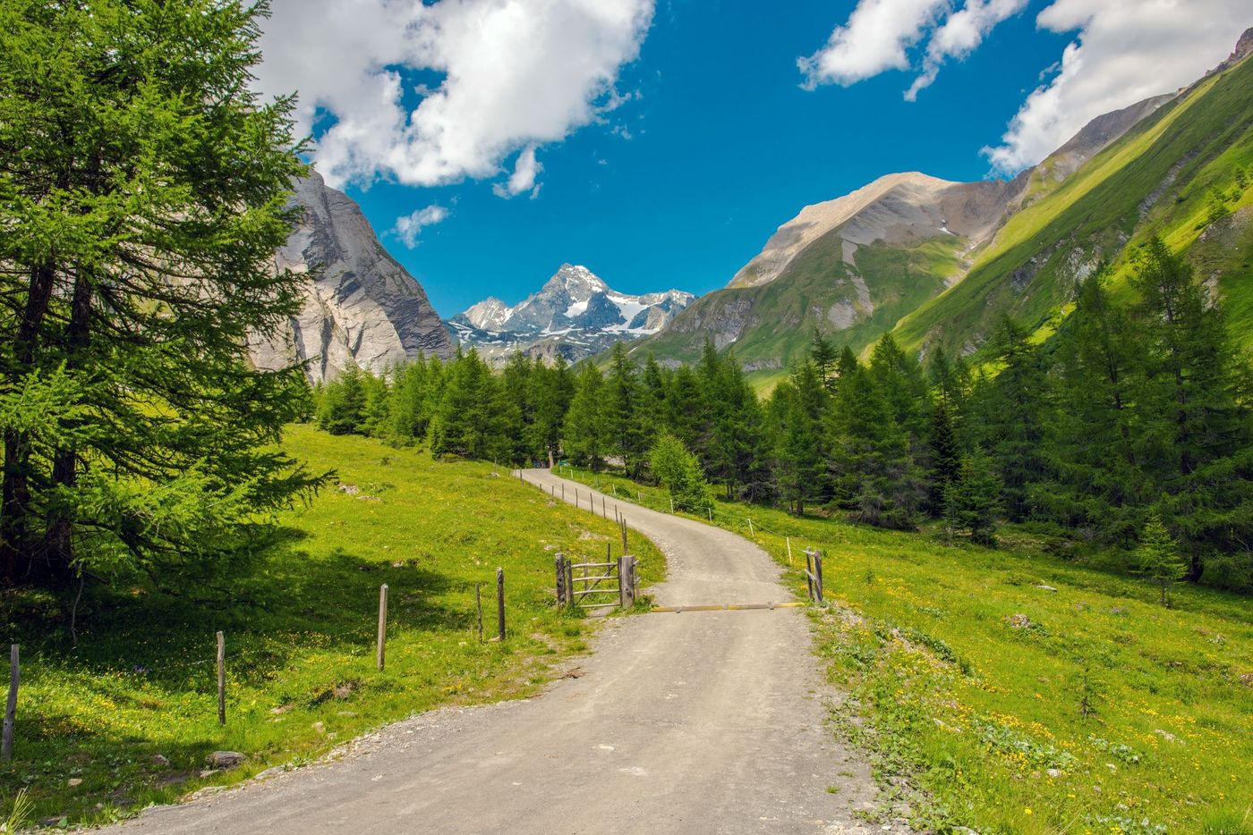 Grossglockner Valley Path