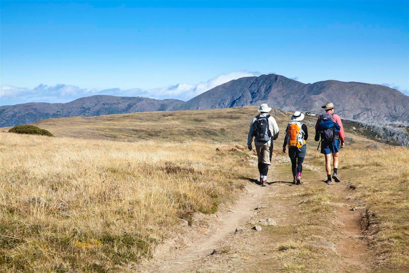Alpine National Park