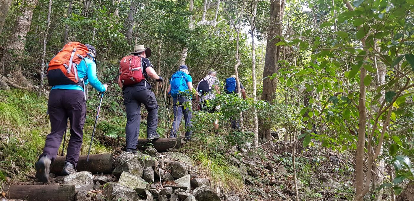 Group-of-Hikers-on-Lord-Howe