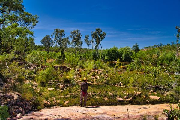 Hiker along the Sweetwater Pool Walk near Edith Falls in Nitmiluk National Park