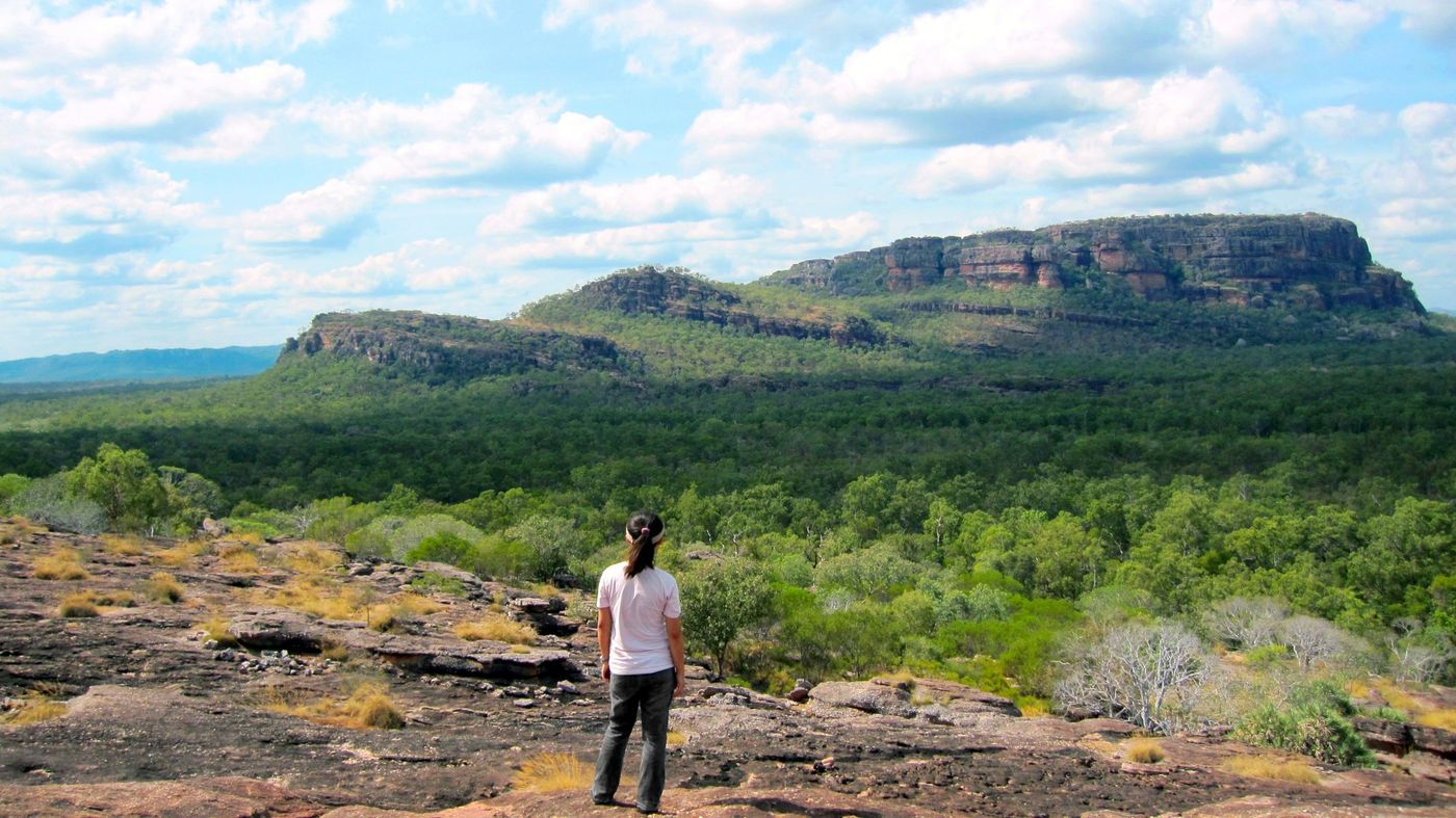 Hiker looking out over a sandstone formation of Nourlangie Rock from the Nawurlandja Lookout in Kakadu National Park