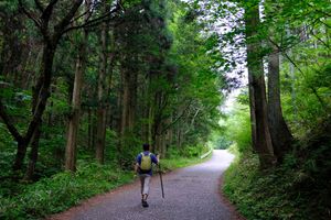 Nakasendo Way - 8 Days