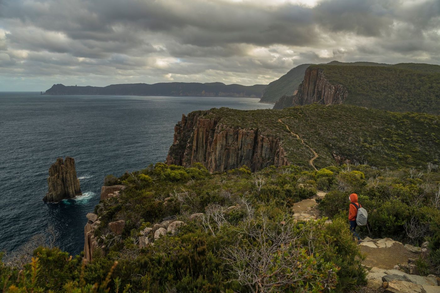 Hiker-on-the-Three-capes-Track