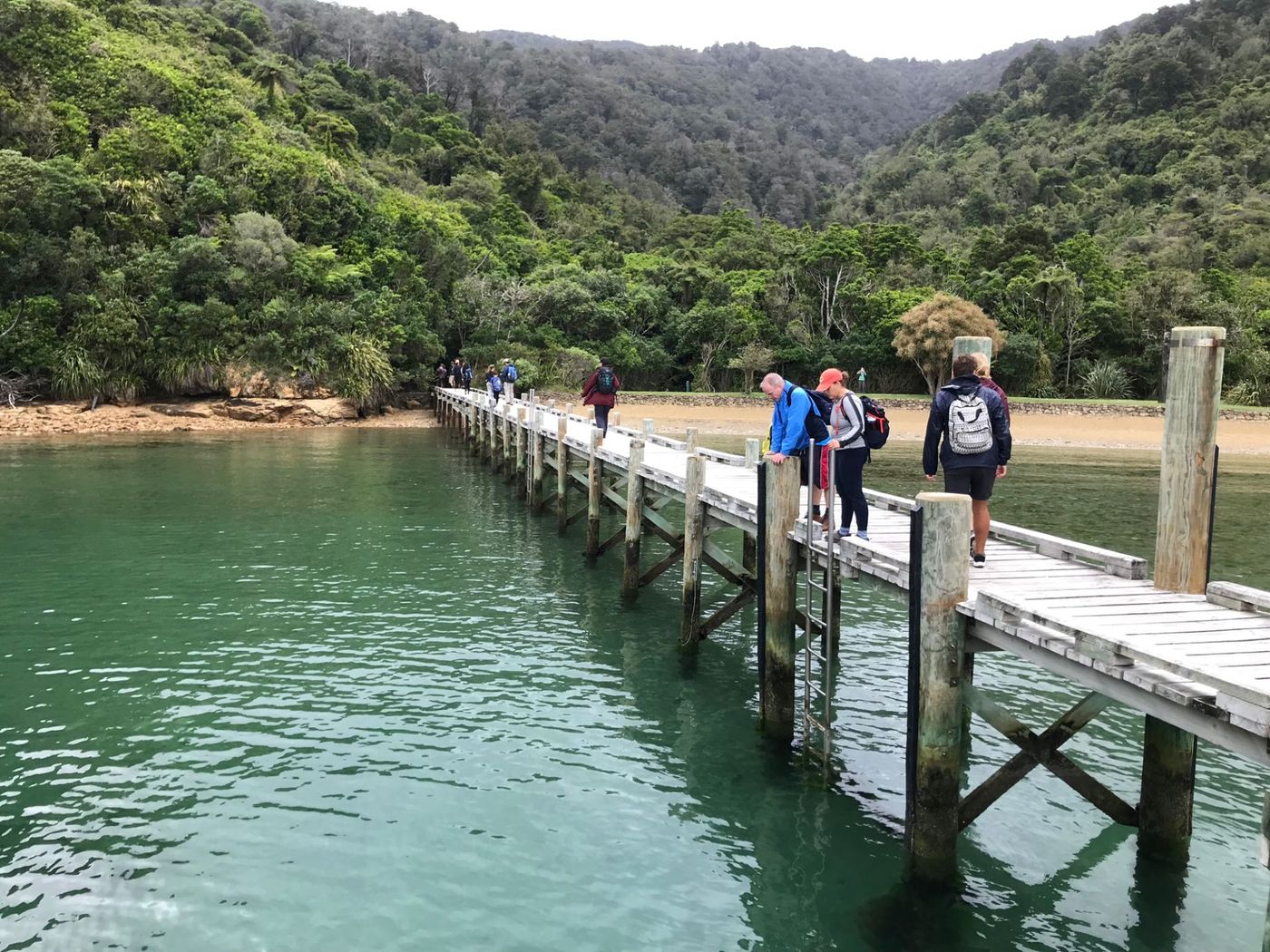 Hikers-on--a-Jetty-in-Marlborough-Sounds.jpg