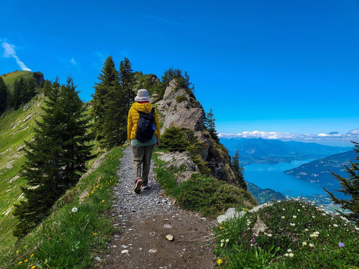 Hiking panoramic trail in Schynige Platte,